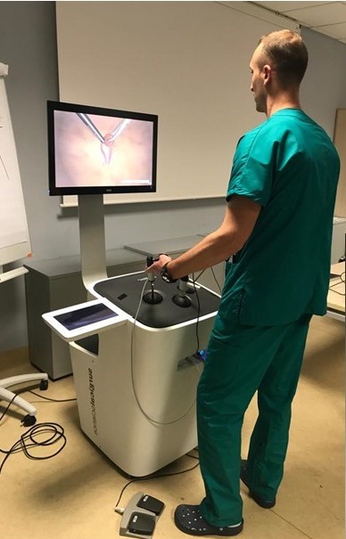 Surgical simulator