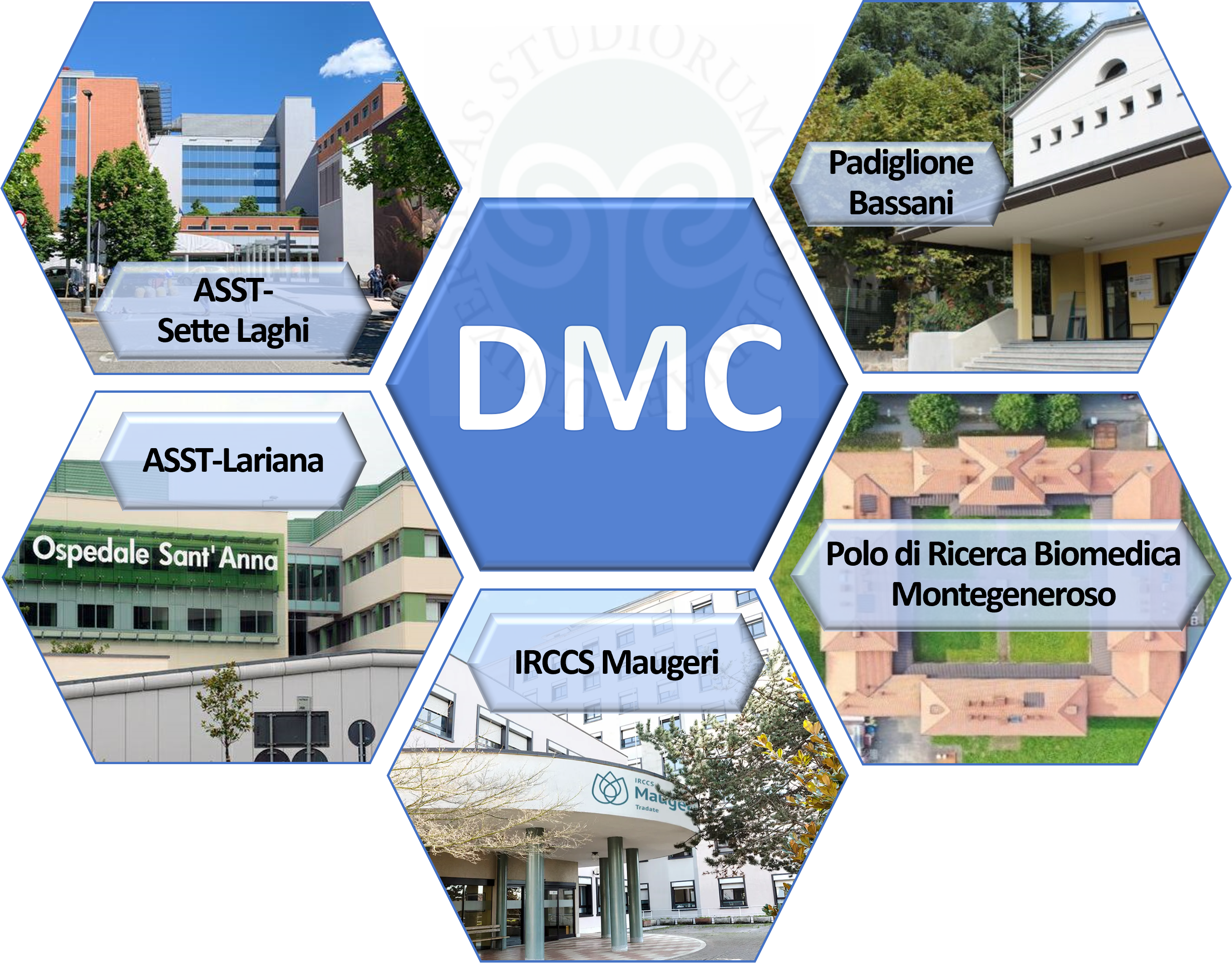 dmc_newrel_q1