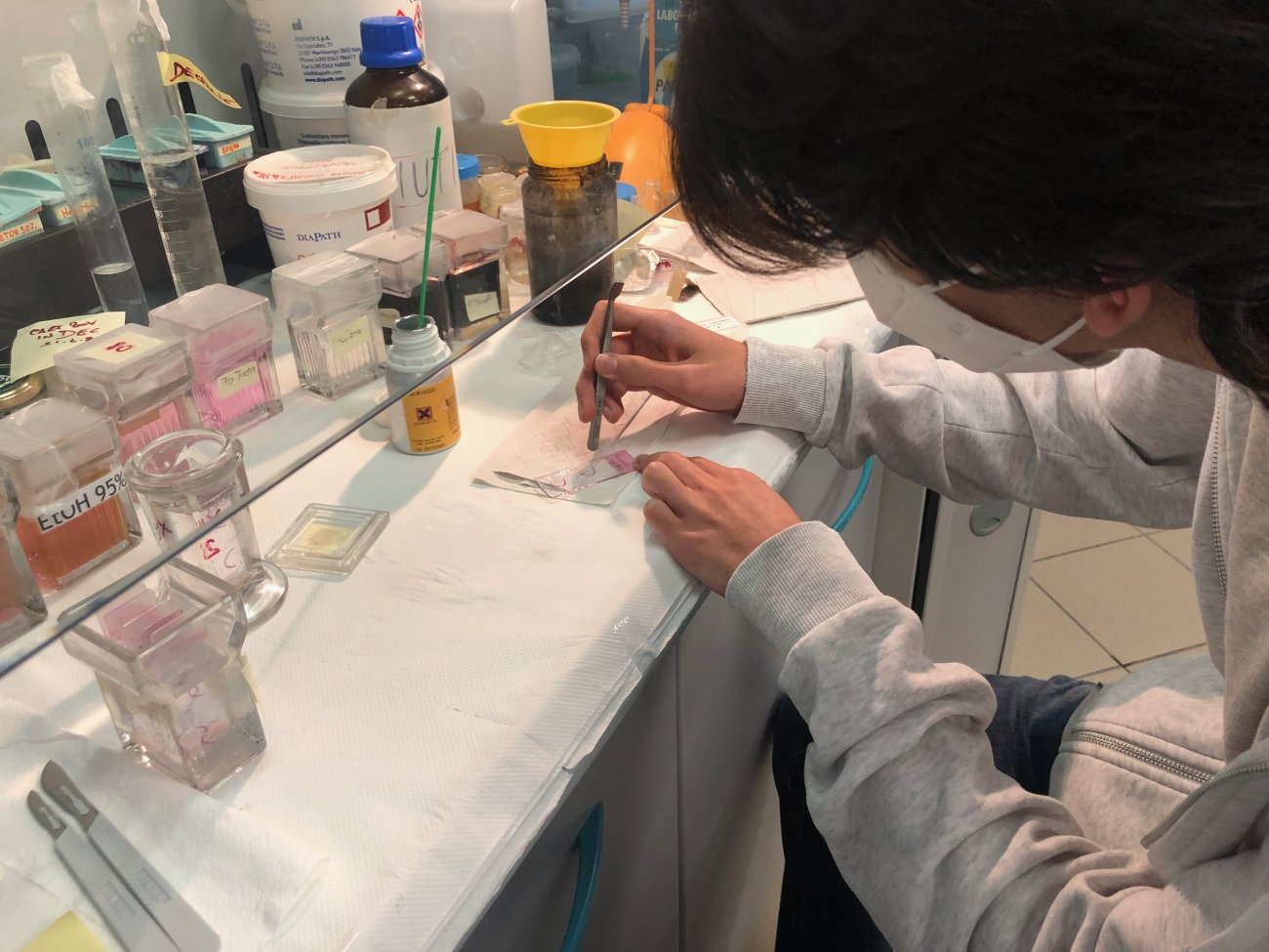Schools in the Laboratory.