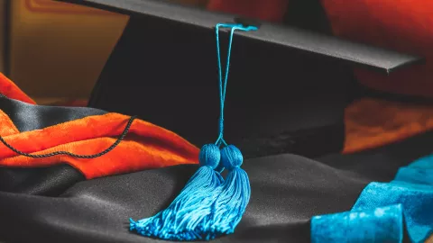 alma phd
