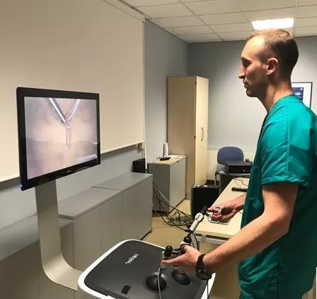 Surgical simulator1