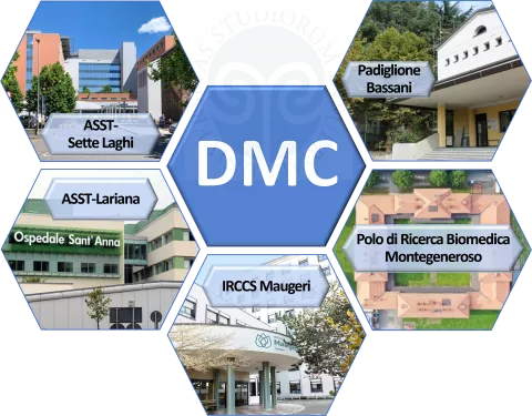 dmc_newrel_q1