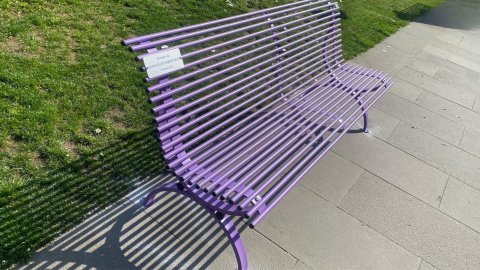 A Lilac Bench