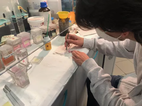 Schools in the Laboratory.