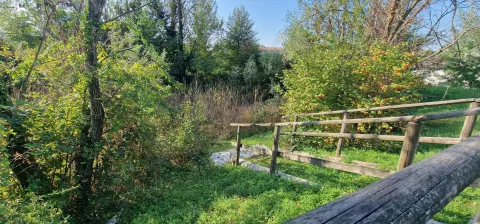Zone umide Campus Bizzozero