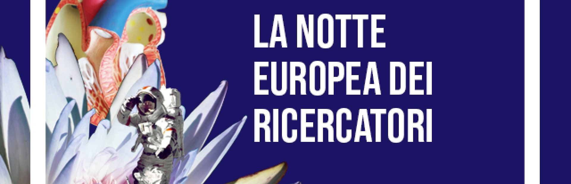 European research's night