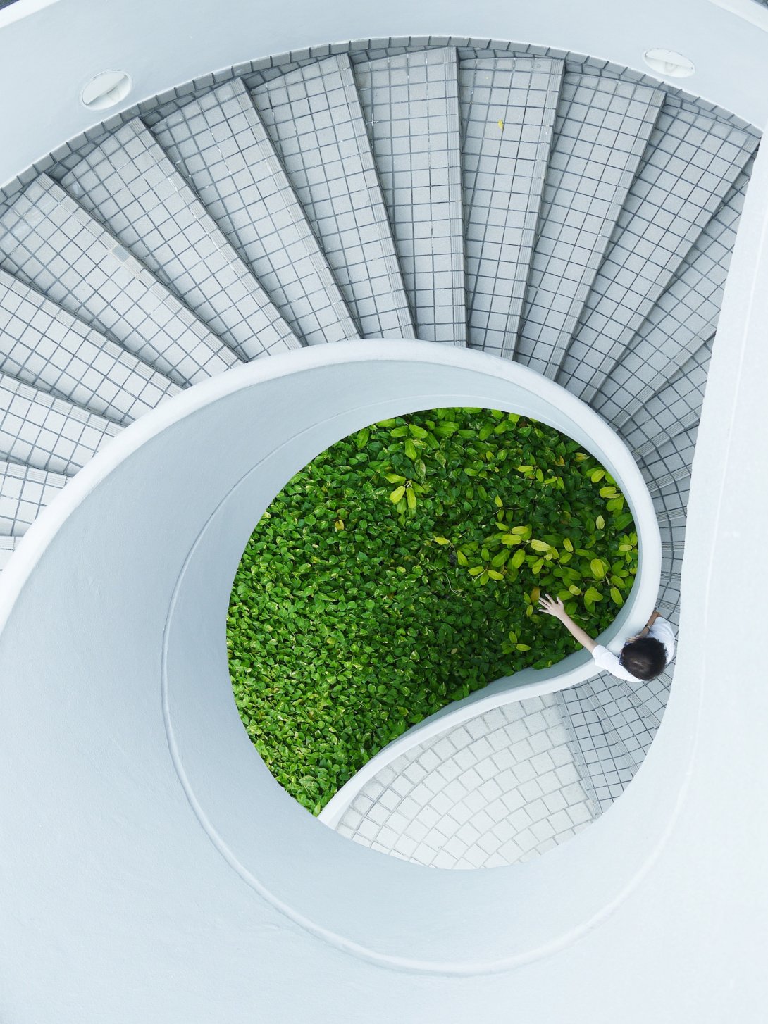 Picture of a building into the nature symbolizing sustainability