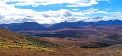Paesaggio dell'Alaska comprendente il passaggio dalla foresta di conifere alla zona di tundra artico-alpina