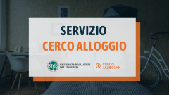 Cerco alloggio Poster