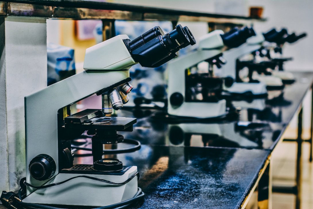 Picture of microscopes