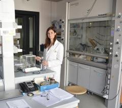 disat research