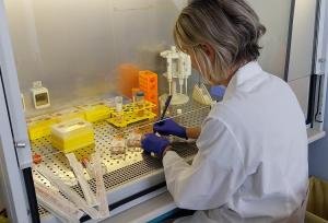 Lab cr