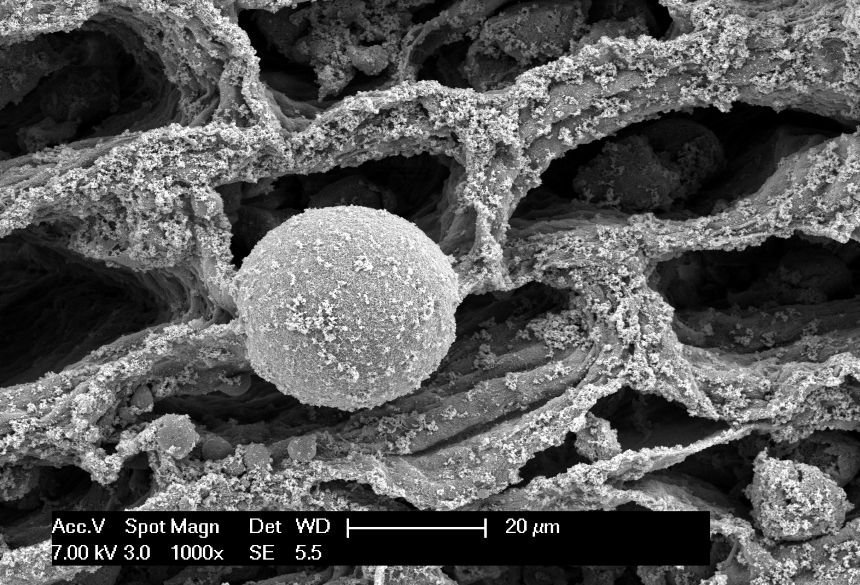 Cellular