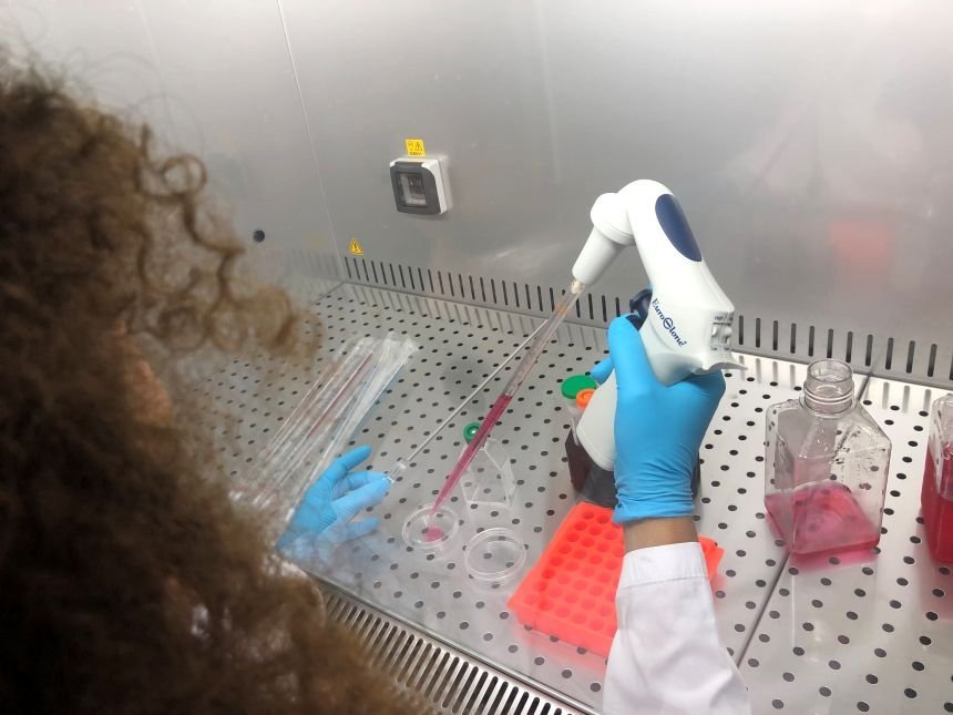 Cell Cultures