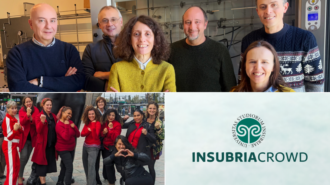 Insubria Crowd