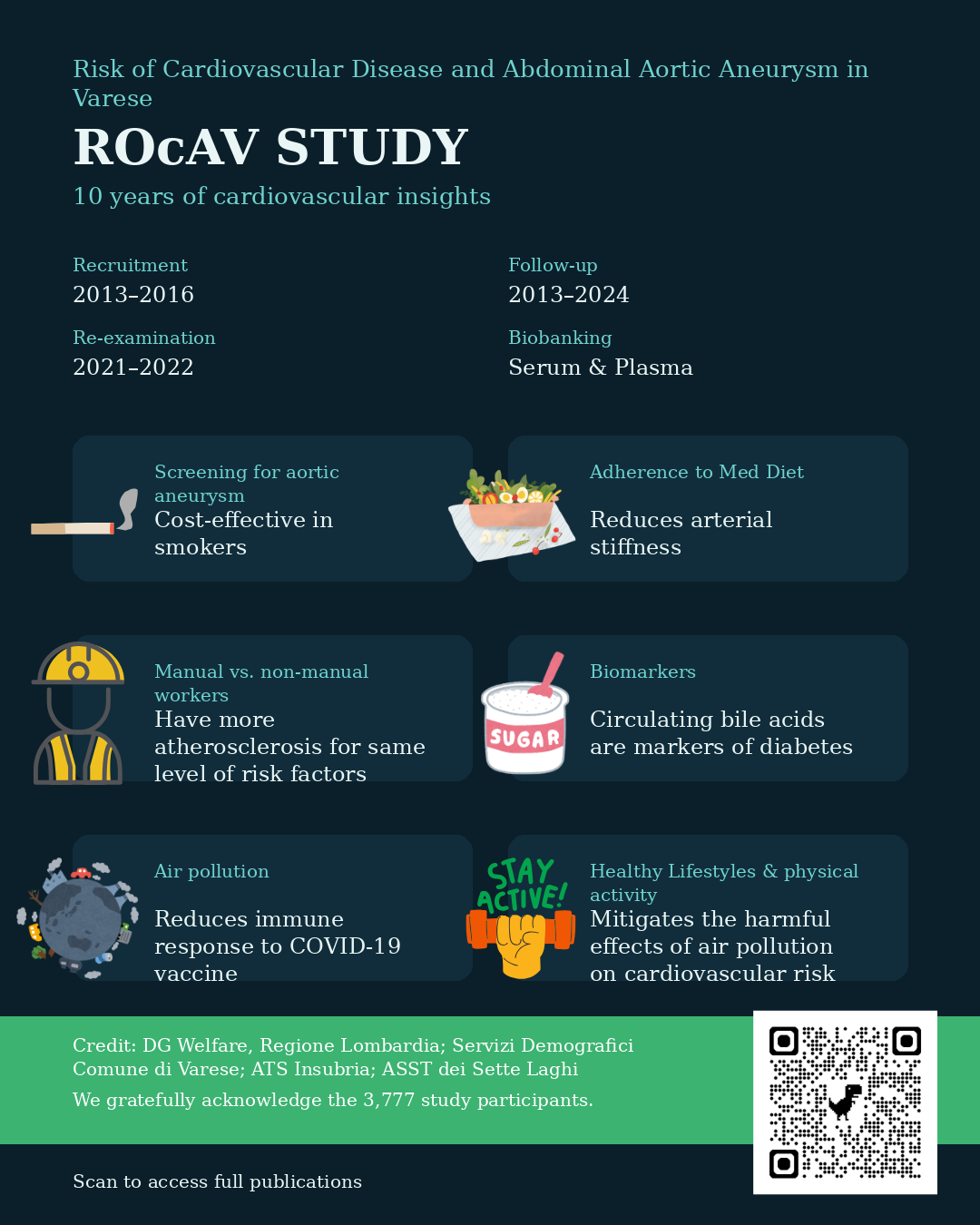 Rocav_infografica