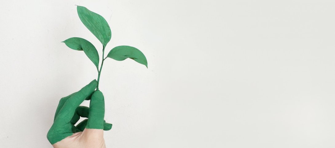 Cover image: it shows a hand, painted green, holding leaves between its fingers